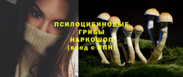 эйфоретик Ростов