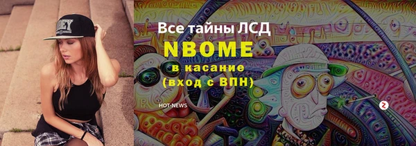 амф Россошь