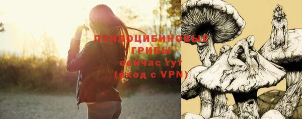apvp Абдулино