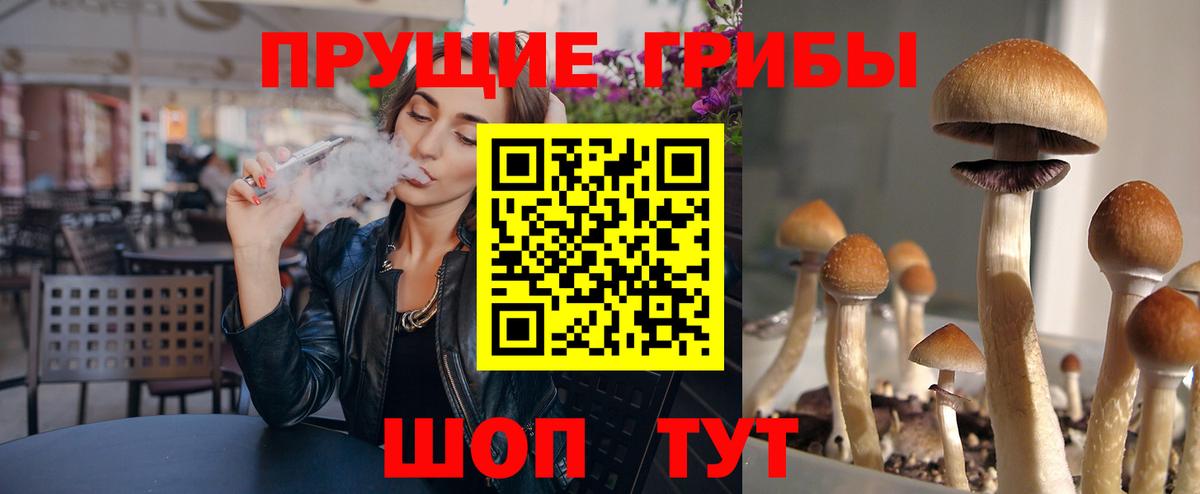 Галлюциногенные грибы ЛСД  Вход с VPN  Балахна 