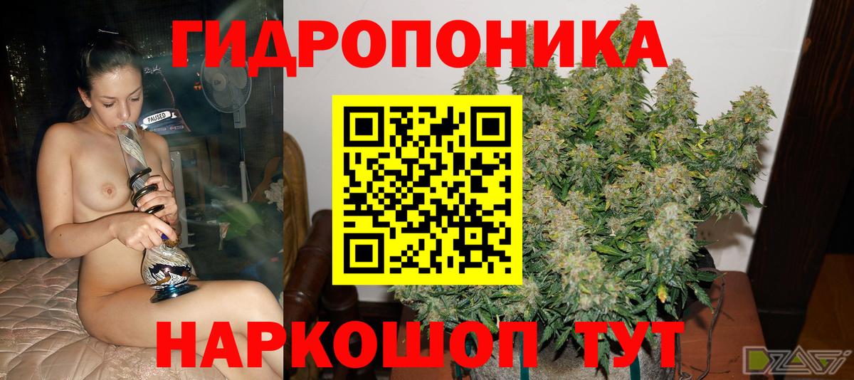 Канабис тримм  Бошки марихуана индика  Вход с VPN  Бошки Шишки SATIVA & INDICA  Балахна  Марихуана сатива 